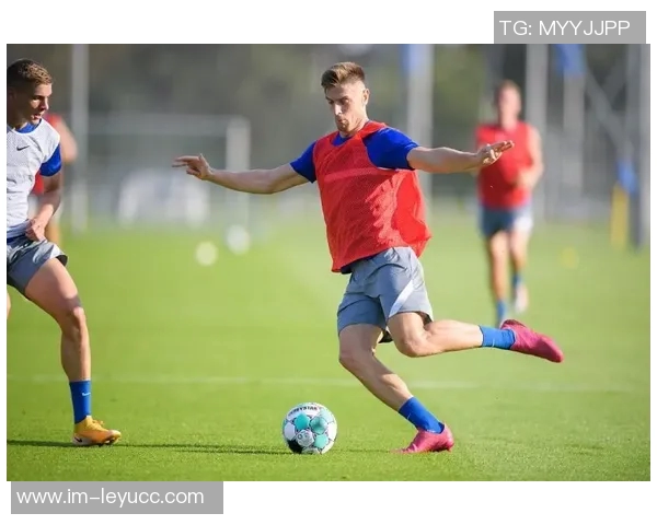 罗马诺揭秘弗拉霍维奇转会动态米兰不愿高薪拜仁巴萨频频联系 罗马诺揭秘弗拉霍维奇转会动态米兰不愿高薪拜仁巴萨频频联系